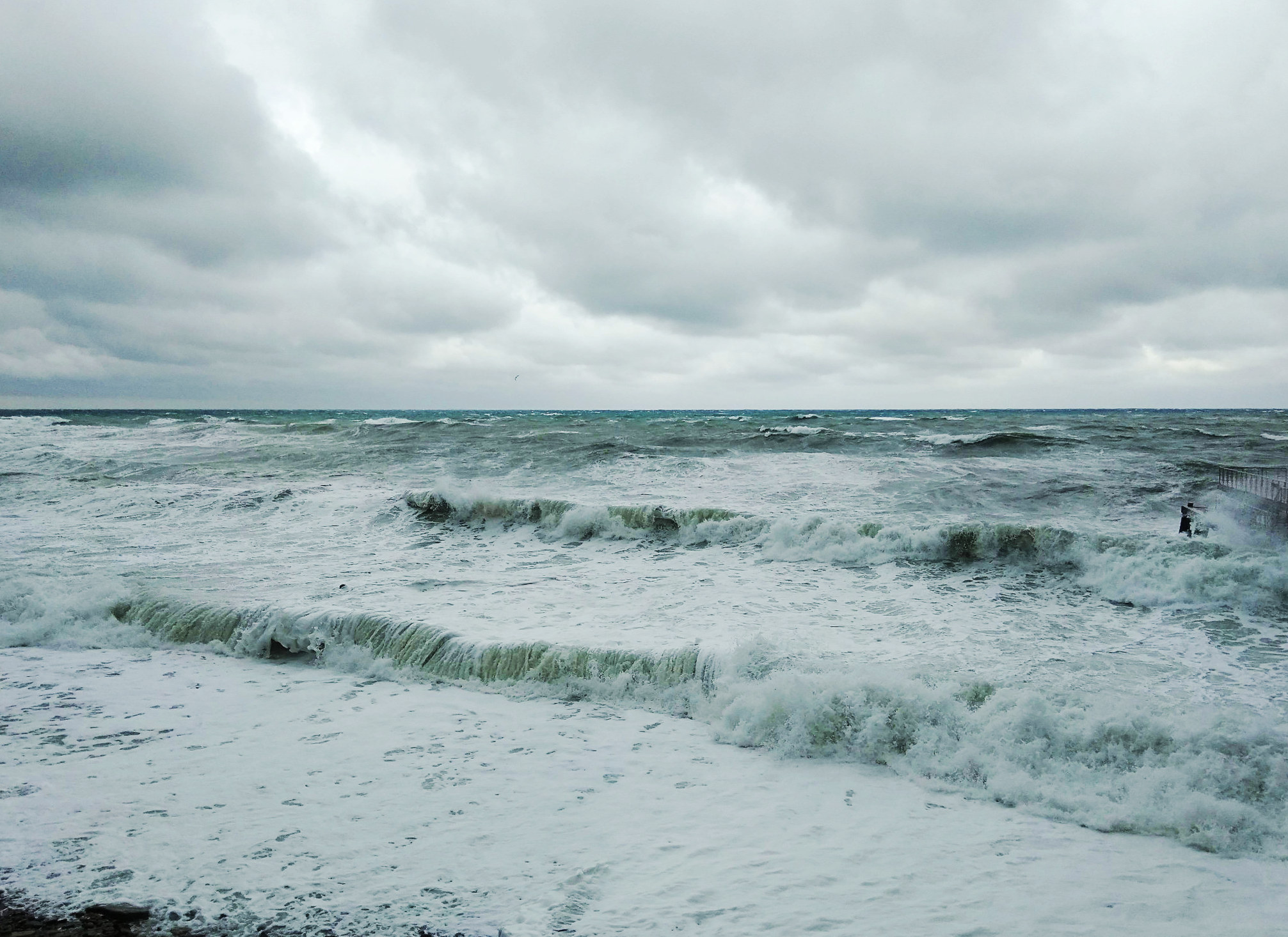 sea4.jpg 